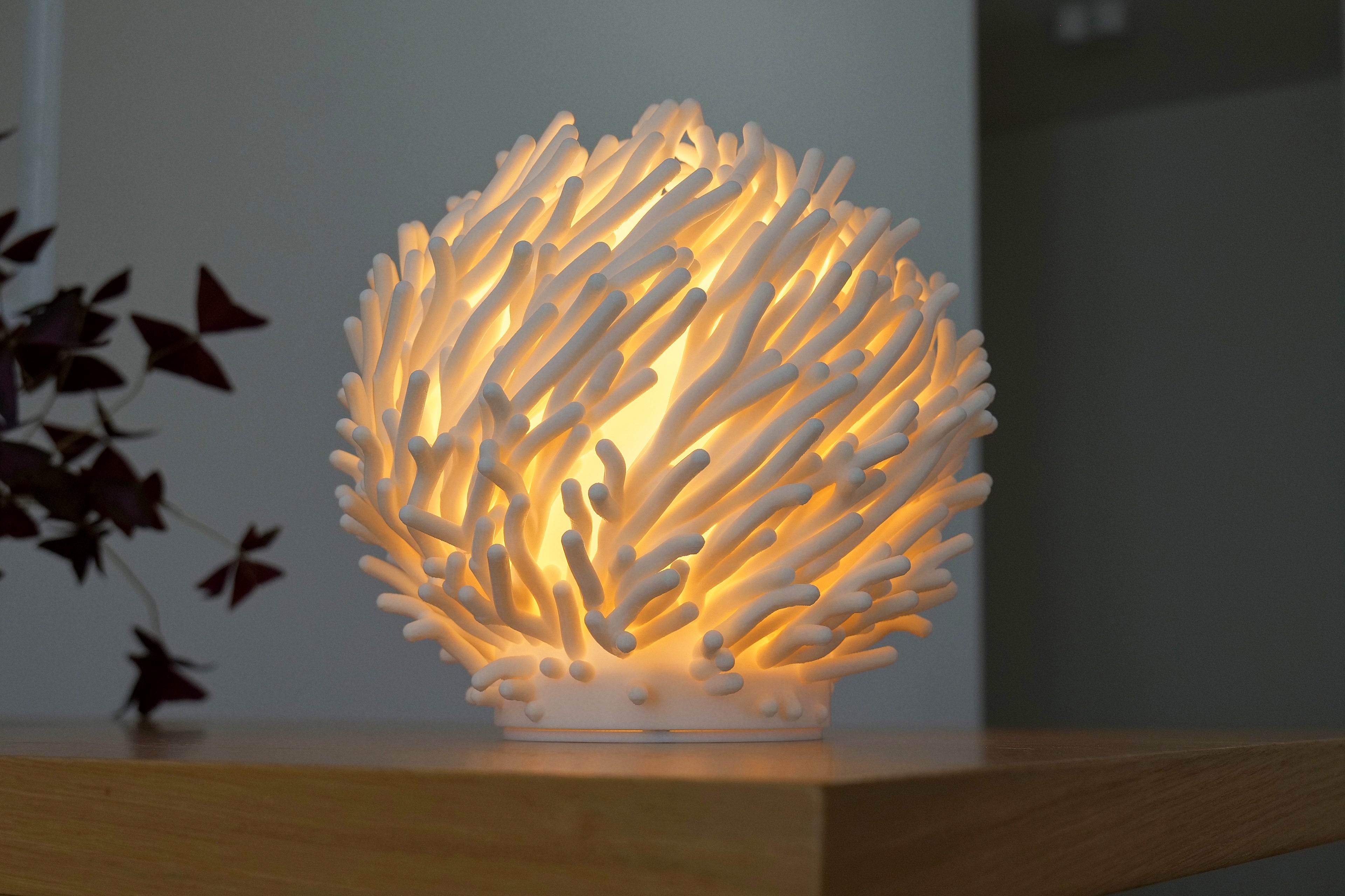 Coral Sculpted Lamp