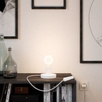 Gravity Sculpted Lamp